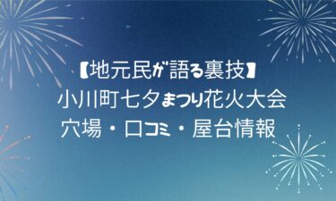【地元民が語る裏技】 小川町七夕まつり花火大会｜穴場・口コミ・屋台情報