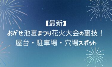 【最新】おがせ池夏まつり花火大会の裏技！屋台・駐車場・穴場スポット完全ガイド