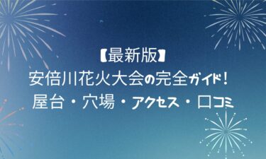【最新版】安倍川花火大会の完全ガイド！屋台・穴場・アクセス・口コミ
