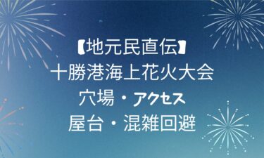 【地元民直伝】十勝港海上花火大会の完全ガイド｜穴場・アクセス・屋台・混雑回避