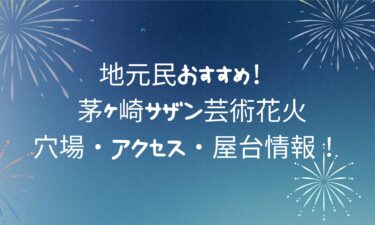 【最新】茅ヶ崎サザン芸術花火の楽しみ方完全ガイド！穴場・アクセス・屋台情報！