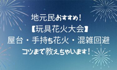 【玩具花火大会】屋台・手持ち花火・混雑回避のコツまで教えちゃいます！