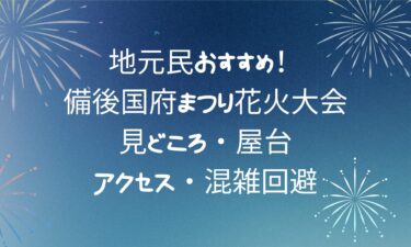 【最新版】備後国府まつり花火大会の見どころ・屋台・アクセス・混雑回避ガイド