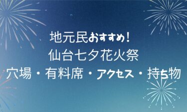 【最新版】仙台七夕花火祭の完全攻略！穴場・有料席・アクセス・持ち物