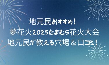 四重心菊がすごい！田園夢花火2025たまむら花火大会｜地元民が教える穴場＆口コミ！