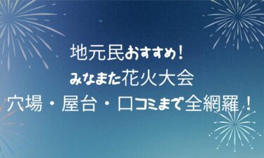 みなまた花火大会2025徹底ガイド｜穴場・屋台・口コミまで全網羅！