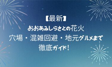 【最新版】おおあみしらさとの花火を完全攻略｜穴場・混雑回避・地元グルメまで徹底ガイド！