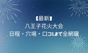 【保存版】八王子花火大会2025の完全ガイド！日程・穴場・口コミまで全網羅