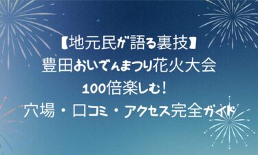 【最新版】豊田おいでんまつり花火大会を100倍楽しむ！穴場・口コミ・アクセス完全ガイド