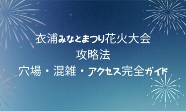 衣浦みなとまつり花火大会の攻略法｜穴場・混雑・アクセス完全ガイド