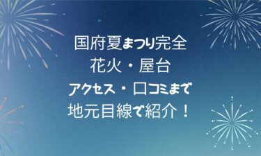 国府夏まつり完全ガイド｜花火・屋台・アクセス・口コミまで地元目線で紹介！