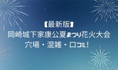 【最新版】岡崎城下家康公夏まつり花火大会！穴場・混雑・口コミを完全網羅！