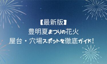 【最新版】豊明夏まつりの花火・屋台・穴場スポットを徹底ガイド！