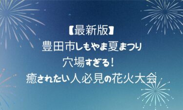 【最新版】豊田市しもやま夏まつりが穴場すぎる！癒されたい人必見の花火大会