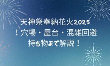 天神祭奉納花火2025最新ガイド！穴場・屋台・混雑回避・持ち物まで解説！