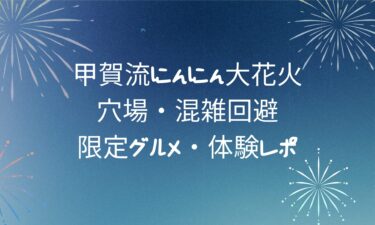 甲賀流にんにん大花火攻略ガイド！穴場・混雑回避・限定グルメ・体験レポまで