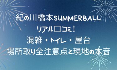 紀の川橋本SUMMERBALL2025のリアル口コミ！混雑・トイレ・屋台・場所取り全注意点と現地の本音