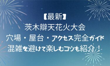 【最新】茨木辯天花火大会の穴場・屋台・アクセス完全ガイド!混雑を避けて楽しむコツも紹介！