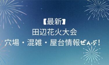 【最新】田辺花火大会！穴場・混雑・屋台情報ぜんぶ！