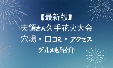 【最新】天領さん久手花火大会！穴場・口コミ・アクセス・グルメも紹介