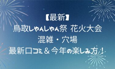 鳥取しゃんしゃん祭 花火大会！混雑・穴場・最新口コミ＆今年の楽しみ方！