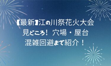 【最新】江の川祭花火大会の見どころ！穴場・屋台・混雑回避まで紹介！