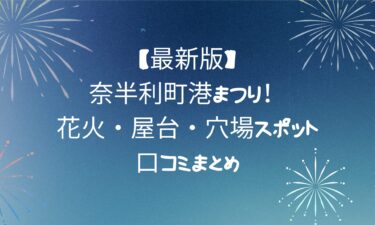 【最新版】奈半利町港まつり！花火・屋台・穴場スポット・口コミまとめ