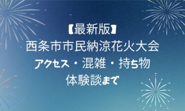 【最新版】西条市市民納涼花火大会！アクセス・混雑・持ち物・体験談まで