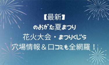 【最新】のおがた夏まつり！花火大会・まつりくじら・穴場情報＆口コミも全網羅！