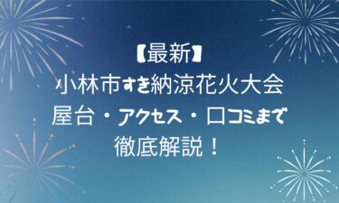 【最新】小林市すき納涼花火大会の楽しみ方！屋台・アクセス・口コミまで徹底解説！