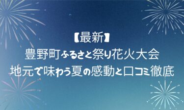 【最新】豊野町ふるさと祭り花火大会！地元で味わう夏の感動と口コミ徹底