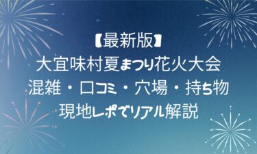 【最新版】大宜味村夏まつり花火大会！混雑・口コミ・穴場・持ち物・現地レポでリアル解説