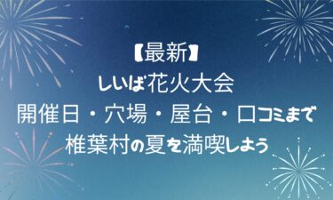 【最新】しいば花火大会！開催日・穴場・屋台・口コミまで！椎葉村の夏を満喫しよう