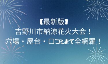 【最新】吉野川市納涼花火大会！穴場・屋台・口コミまで全網羅！