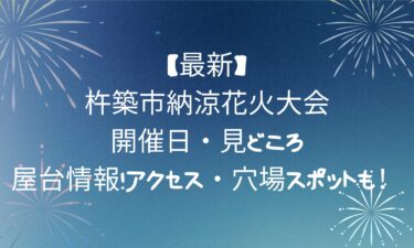 【最新】杵築市納涼花火大会!開催日・見どころ・屋台情報!アクセス・穴場スポットも！