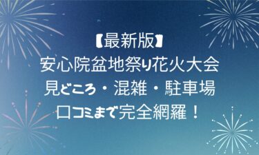 【最新】安心院盆地祭り花火大会！見どころ・混雑・駐車場・口コミまで完全網羅！