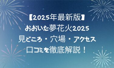 【2025年最新版】おおいた夢花火2025の見どころ・穴場・アクセス・口コミを徹底解説！
