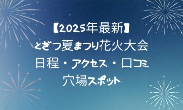 【2025年最新】とぎつ夏まつり花火大会！日程・アクセス・口コミ・穴場スポット